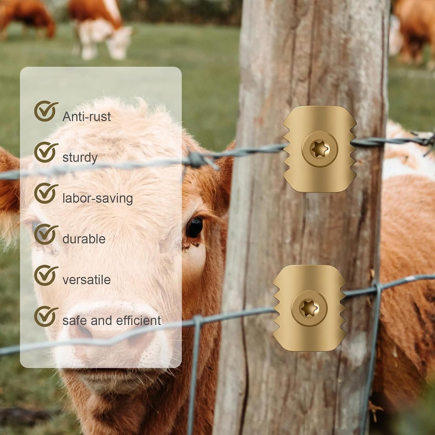 Zaunnägel 1-5/8 Zoll Drahtzaun-Befestiger mit Epoxidbeschichtung (50 Stück)